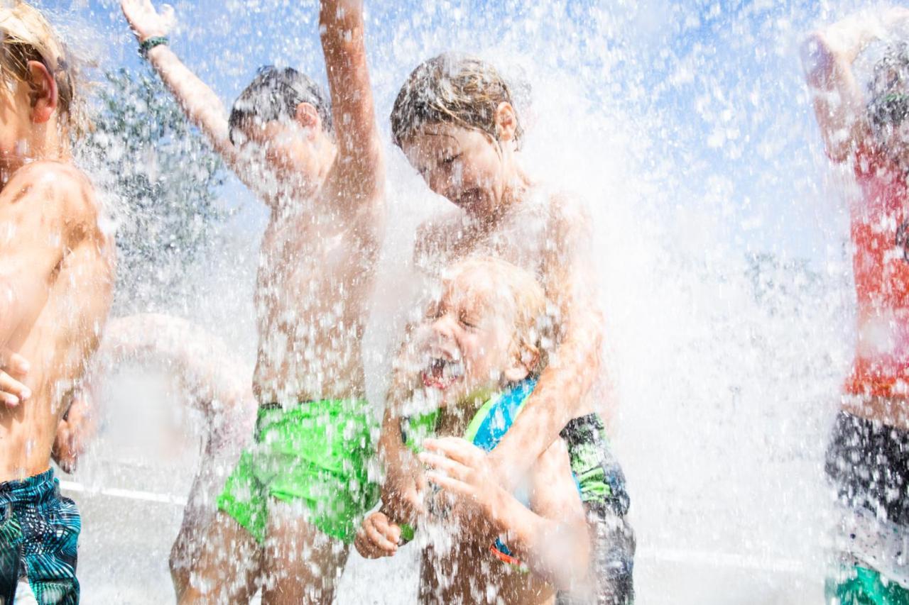 Rcn Het Grote Bos Holiday park Doorn